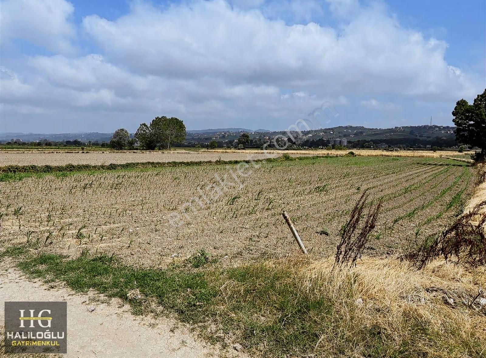 ️ Ferizli Sinanoğlu Ovasında Ana Yola Yakın Yatırımlık - Görsel 4