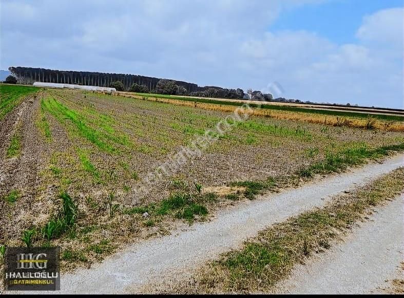 Ferizli Sinanoğlu Ovasında Ana Yola Yakın Yatırımlık Arsa - Görsel 2