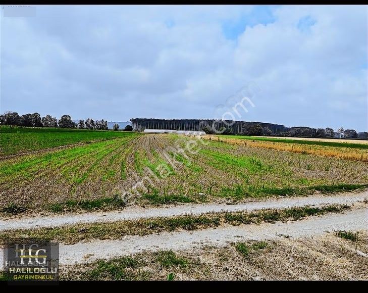 Ferizli Sinanoğlu Ovasında Ana Yola Yakın Yatırımlık Arsa - Görsel 5