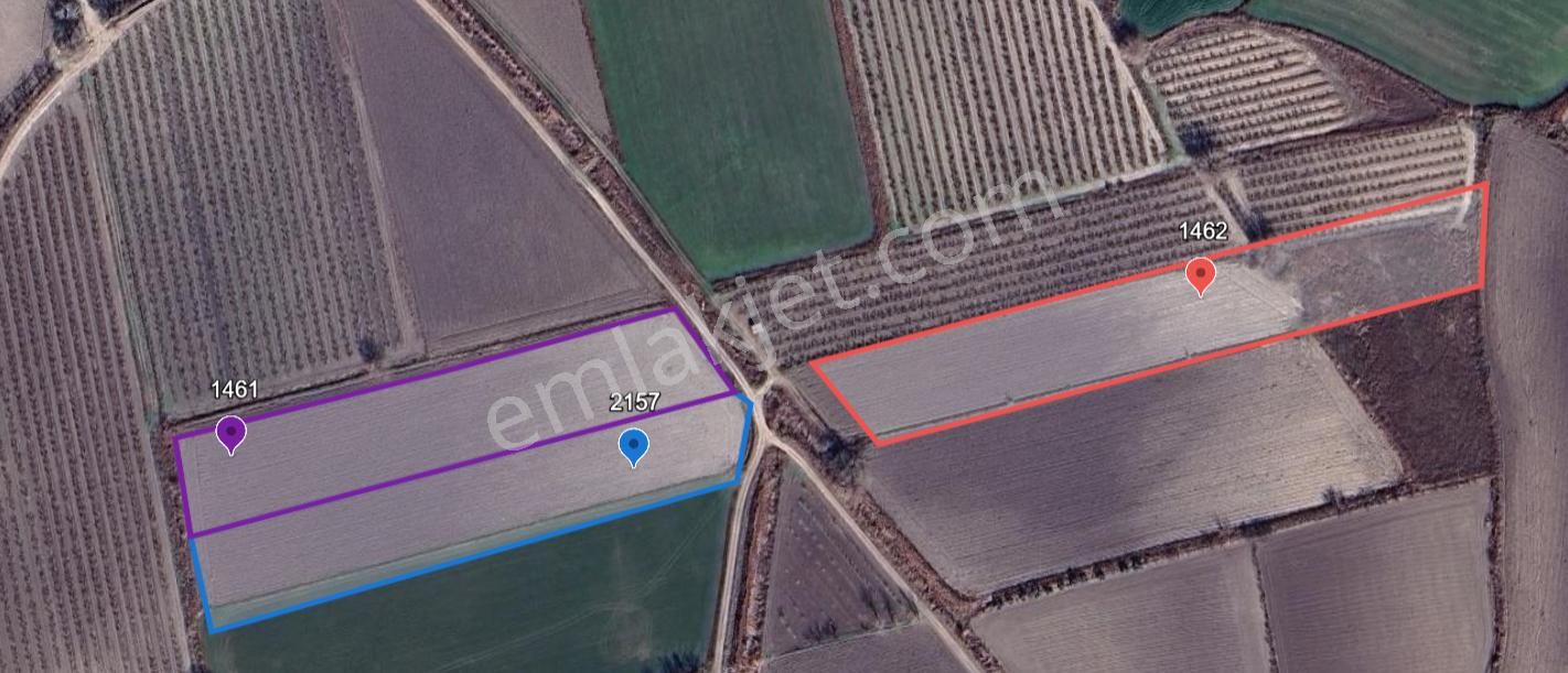 Lobby Fortisten Pamukkale'de Satılık 3 Adet Tarla