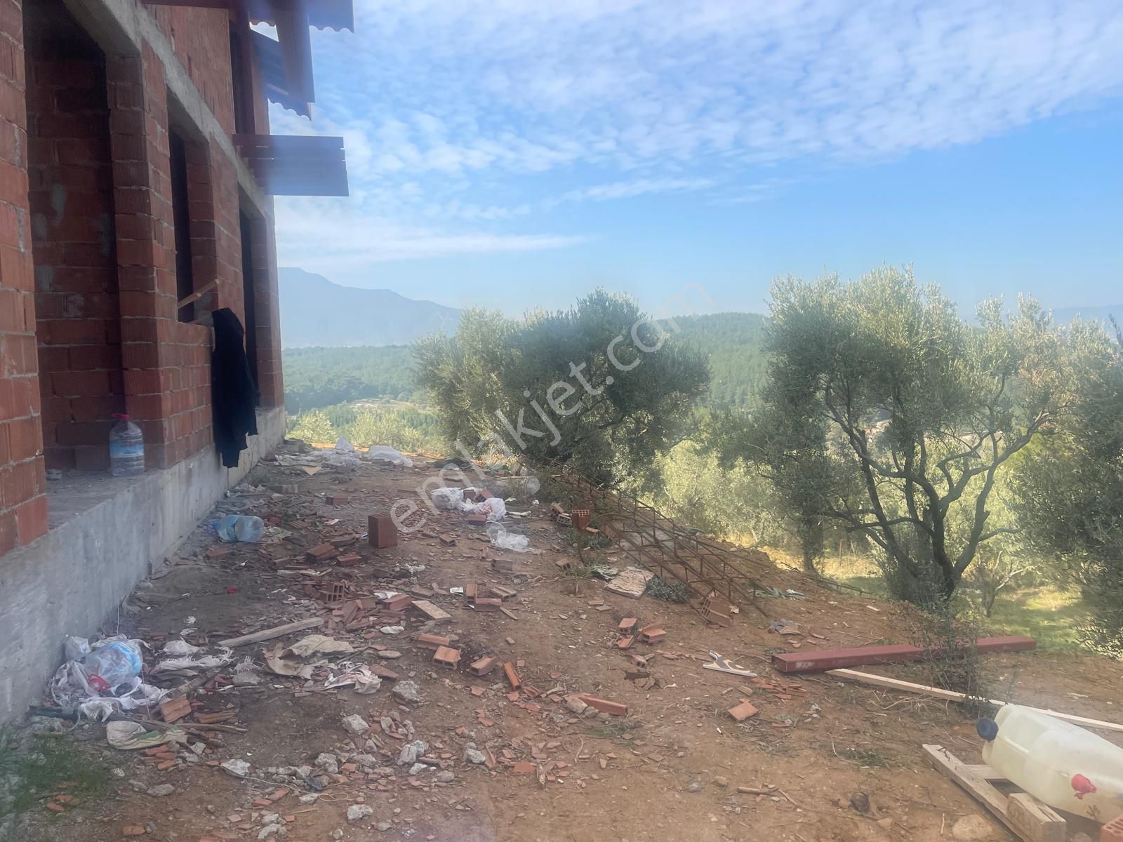 Kemalpaşa Aşağıkızılca Satılık 1758 M2 Tek Tapu Zeytinlik - Görsel 15