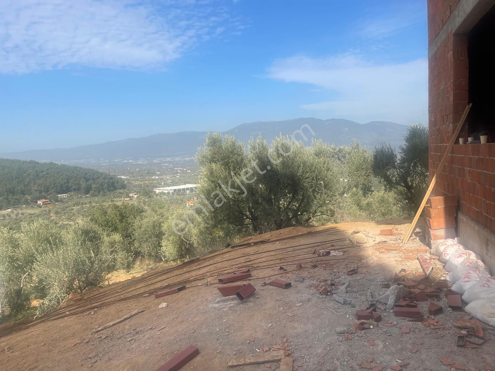 Kemalpaşa Aşağıkızılca Satılık 1758 M2 Tek Tapu Zeytinlik - Görsel 14