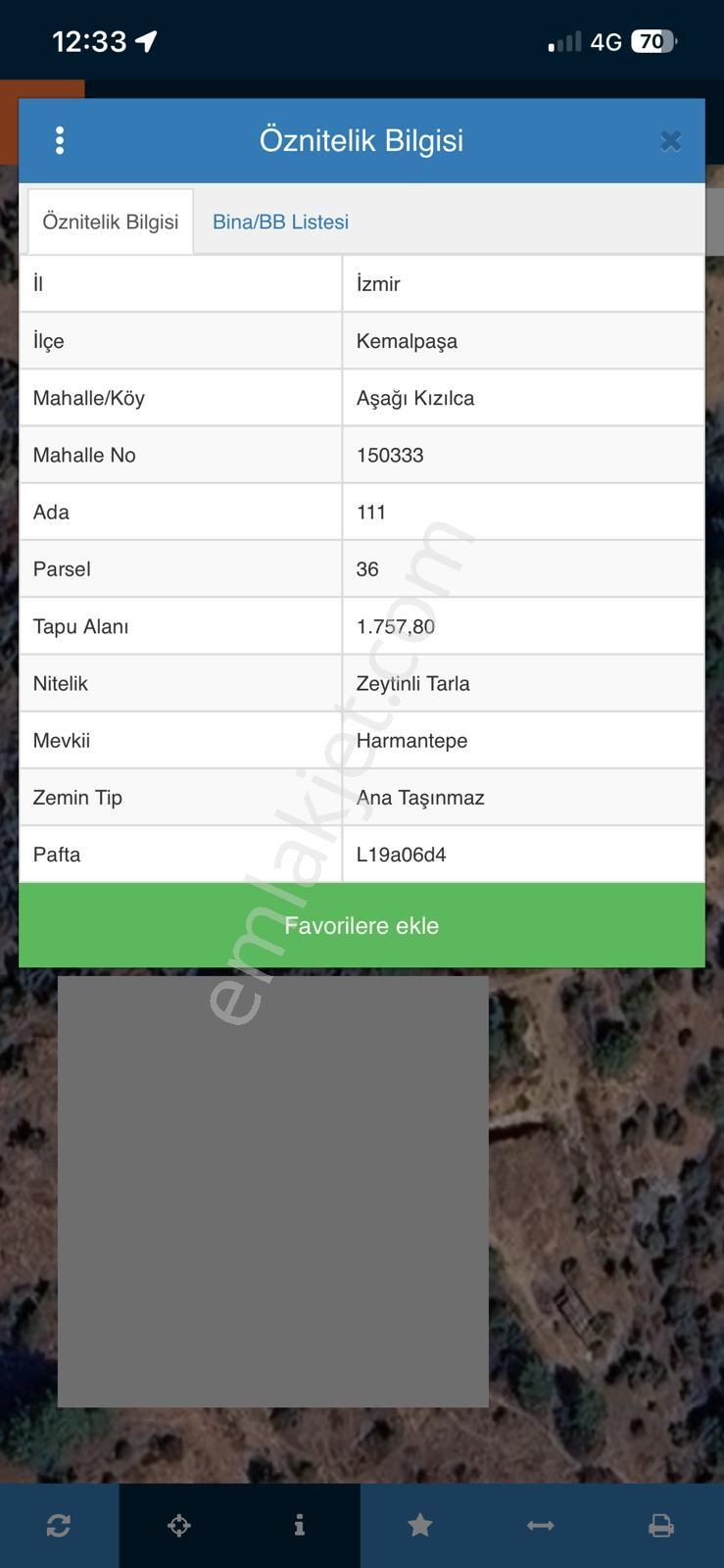 Kemalpaşa Aşağıkızılca Satılık 1758 M2 Tek Tapu Zeytinlik - Görsel 34