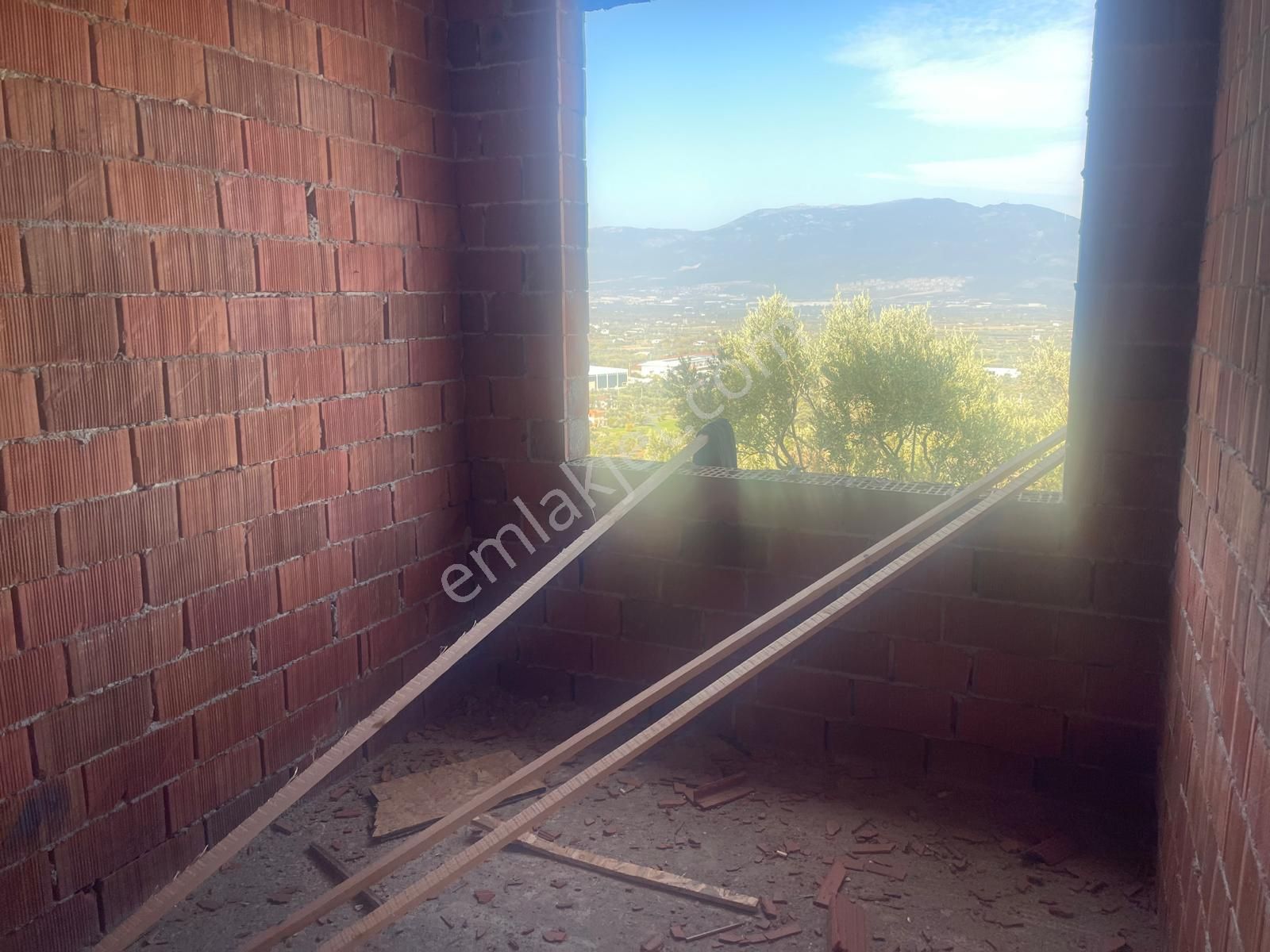 Kemalpaşa Aşağıkızılca Satılık 1758 M2 Tek Tapu Zeytinlik - Görsel 28