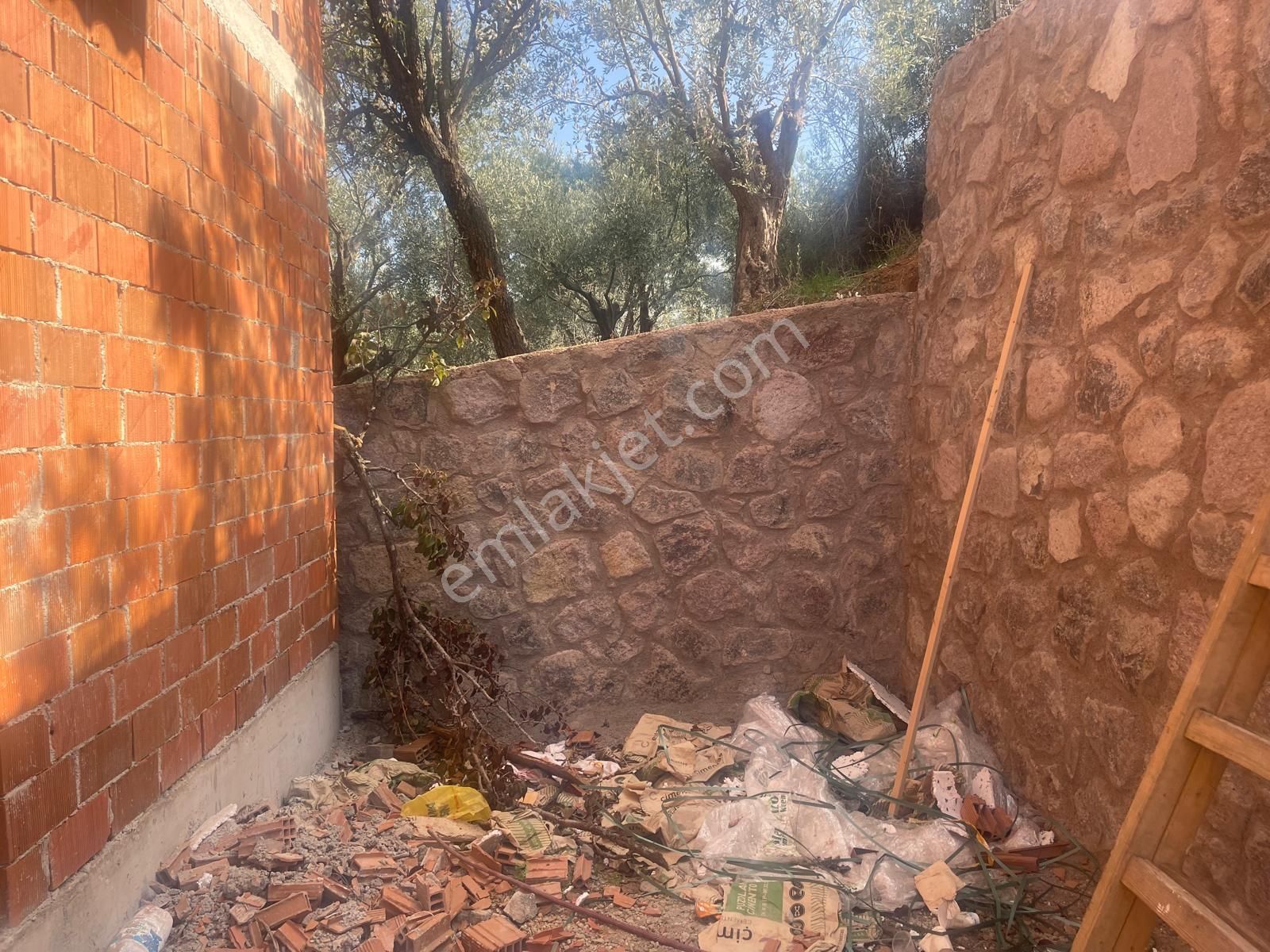 Kemalpaşa Aşağıkızılca Satılık 1758 M2 Tek Tapu Zeytinlik - Görsel 27