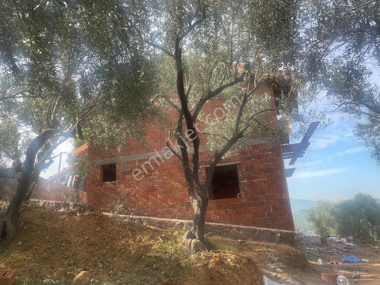 Kemalpaşa Aşağıkızılca Satılık 1758 M2 Tek Tapu Zeytinlik - Görsel 2