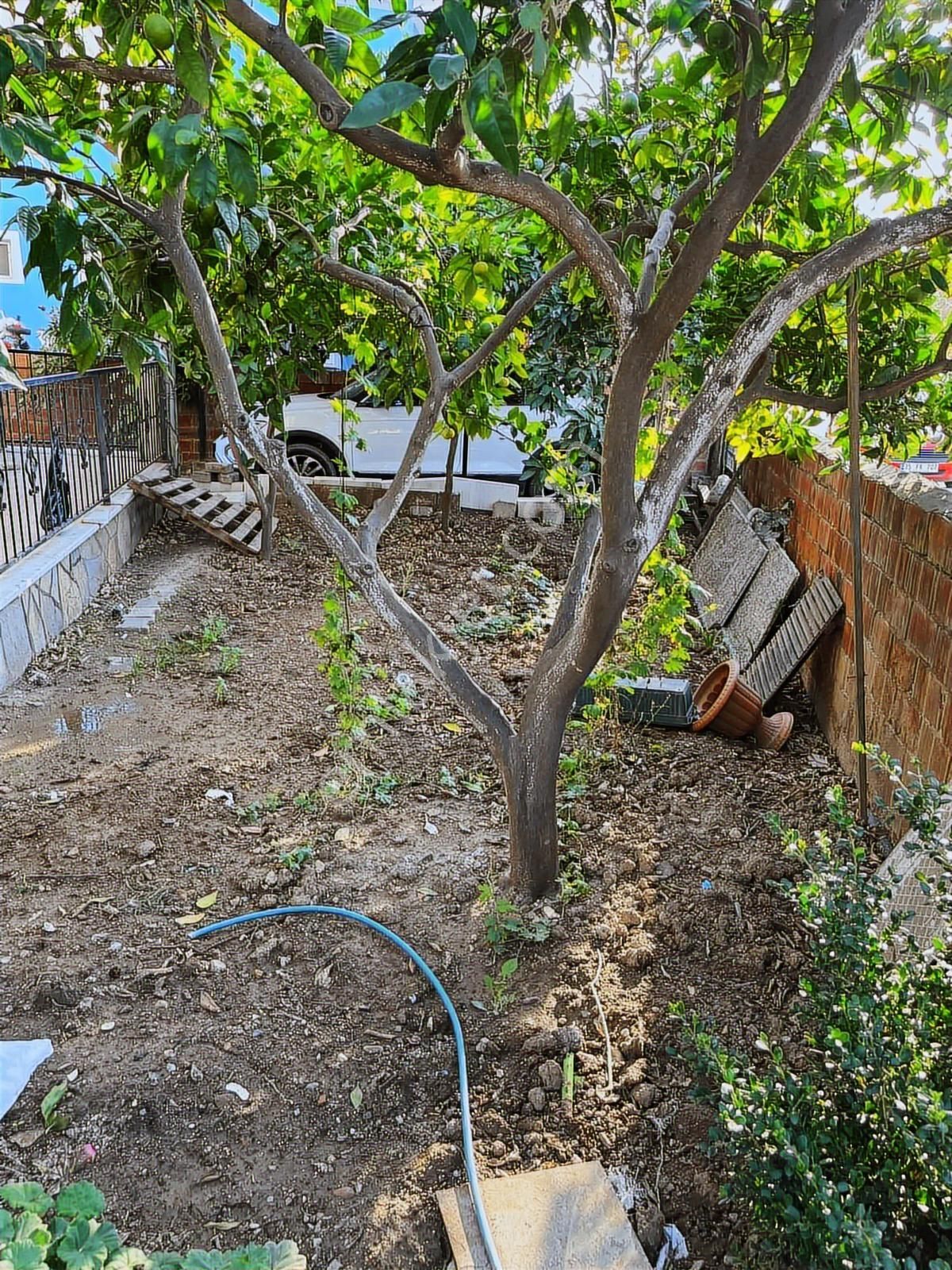 3+1 Bahçeli Doğalgazlı Müstakil Tadında Kiralık Daire - Görsel 18