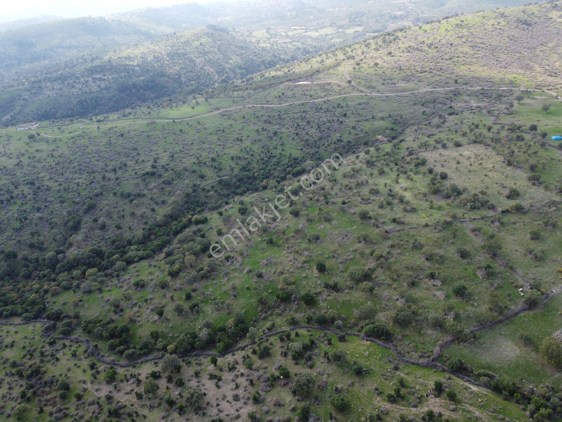İzmir Bergama Üçtepe Mah. Fırsat Tarla - Görsel 8