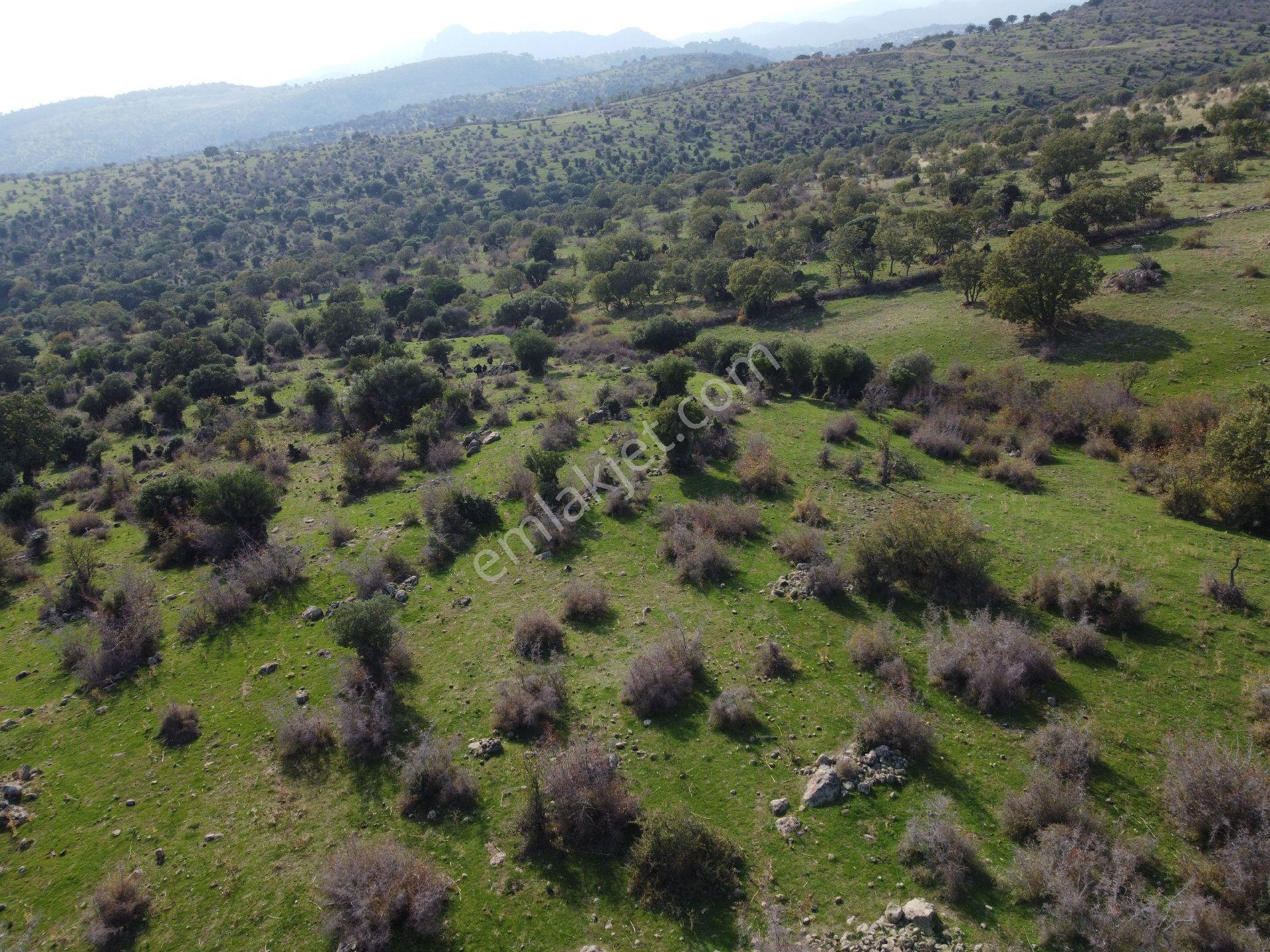 İzmir Bergama Üçtepe Mah. Fırsat Tarla - Görsel 24