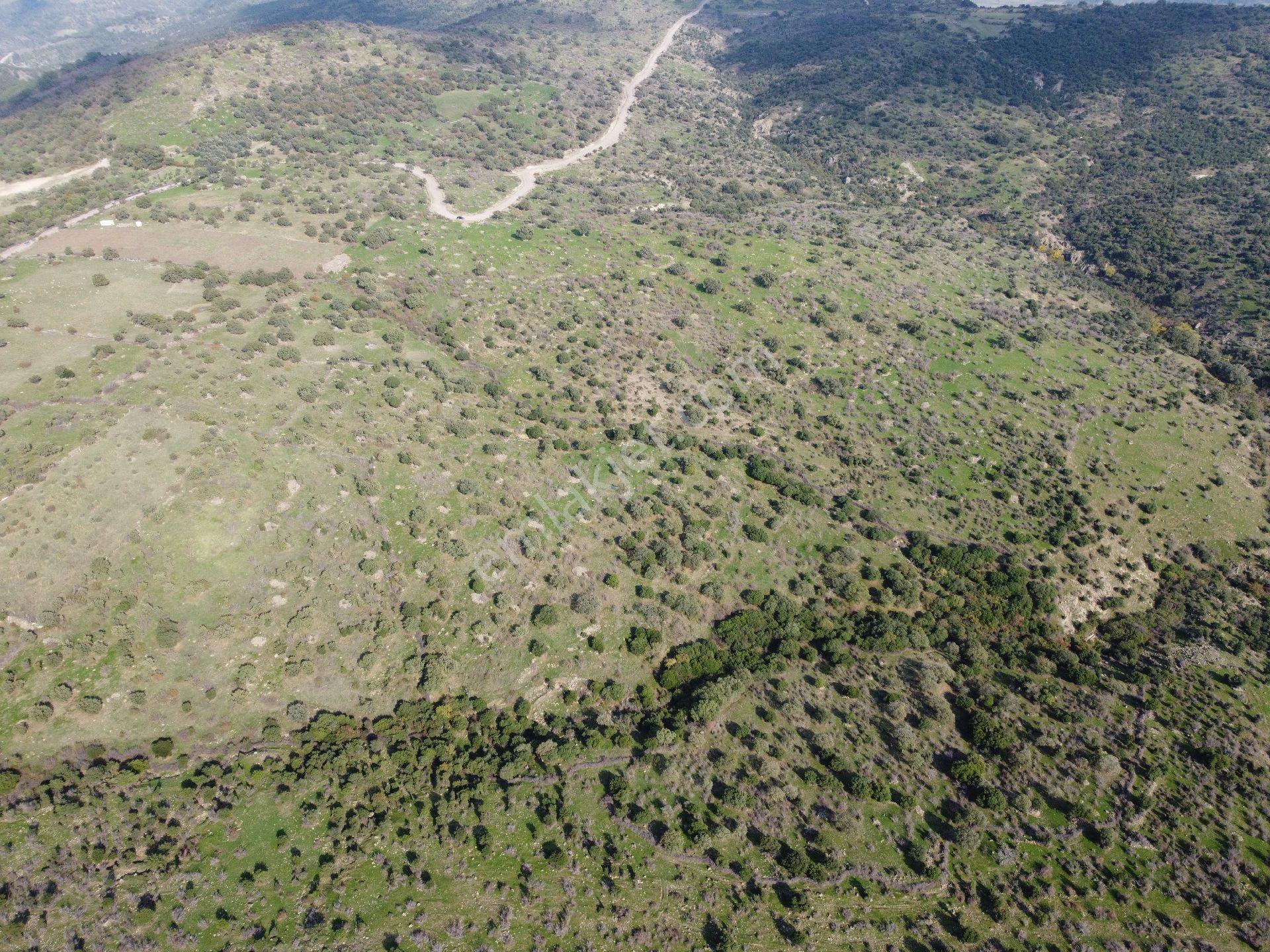 İzmir Bergama Üçtepe Mah. Fırsat Tarla - Görsel 15