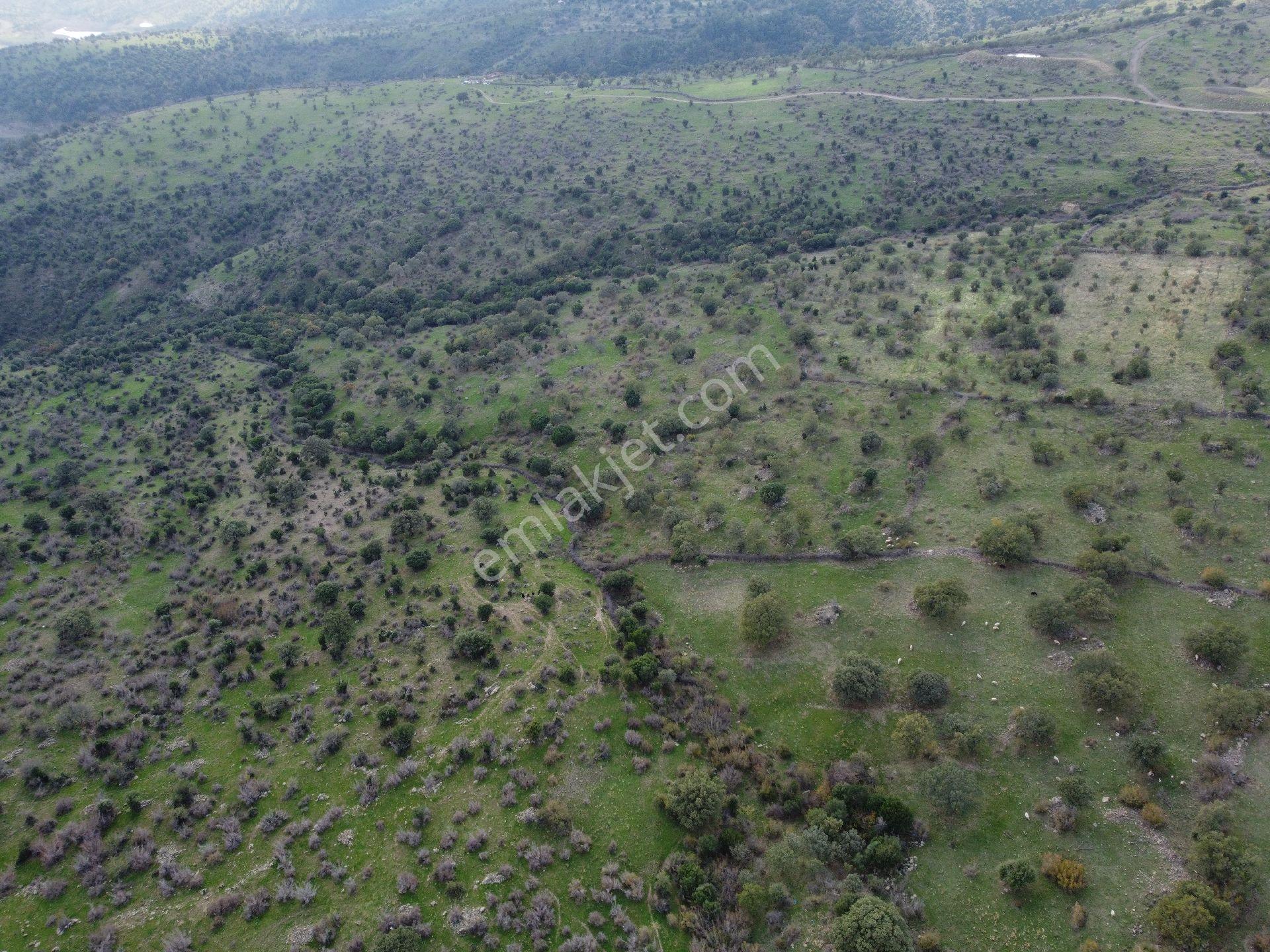 İzmir Bergama Üçtepe Mah. Fırsat Tarla - Görsel 4