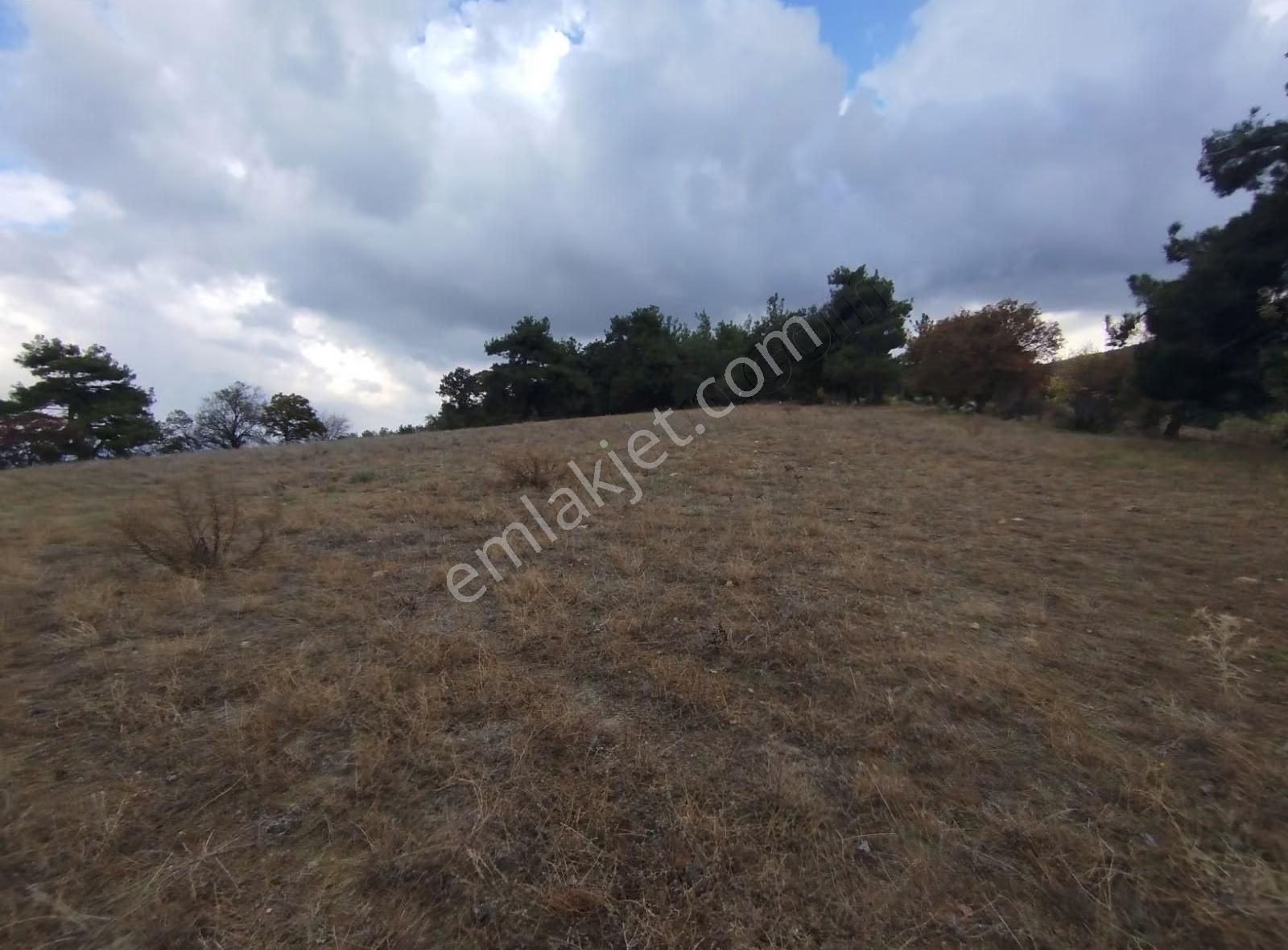 Beybaş Köyü Sazak Mevkiinde 5,810m² Arazi