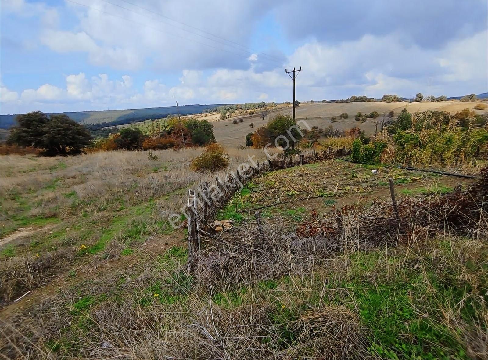 Beybaş Köyü Sazak Mevkiinde 972m² İmarlı Arsa - Görsel 5