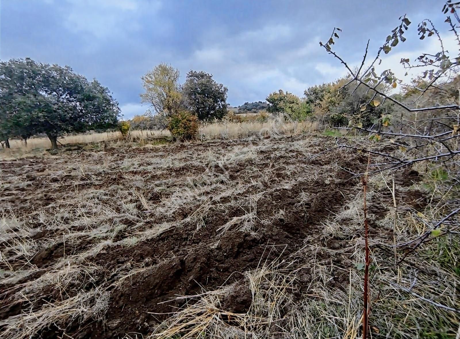 Çanakkale Merkez Köyde Boğaz Manzaralı Satılık Tarla - Görsel 5