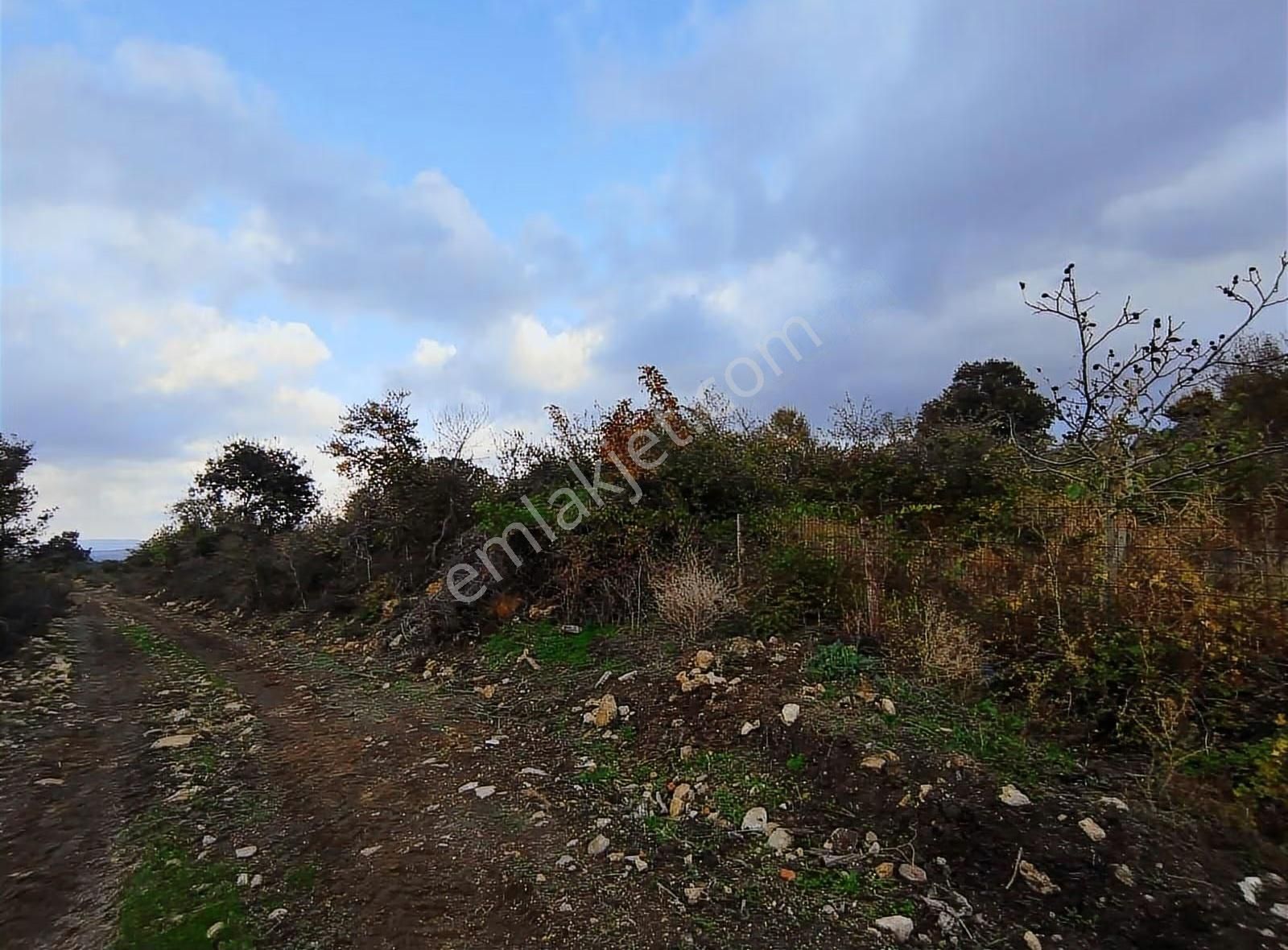 Çanakkale Merkez Köyde Boğaz Manzaralı Satılık Tarla - Görsel 4