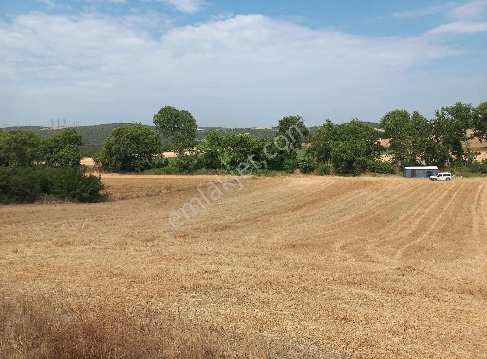 Karabiga Bekirli Köy'ün De İçinde Konteyner Olan 5,755m² Arazi - Görsel 2