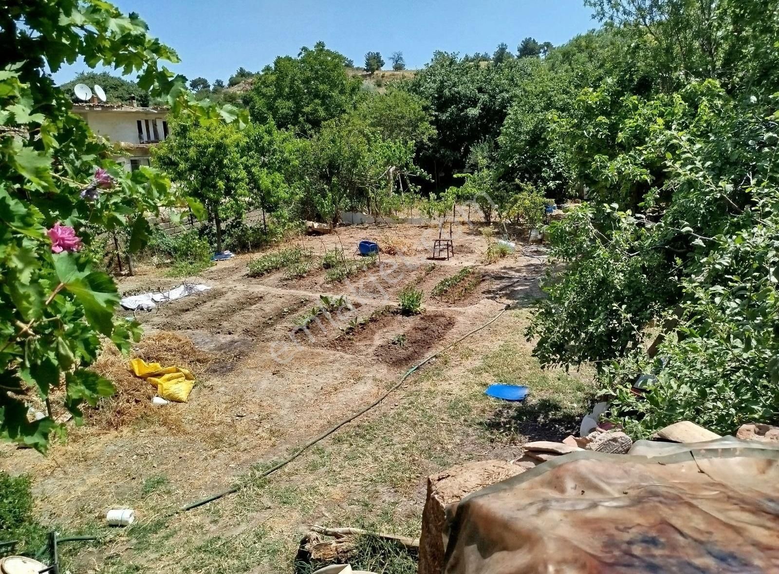 Sarıcaeli Köyünde 1+1 Daire Fiyatına %40 İmarlı Arsa - Görsel 2