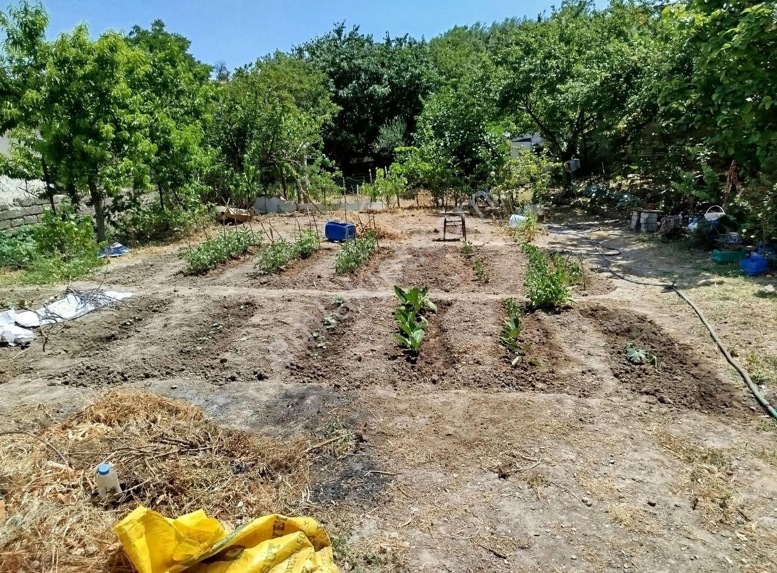 Sarıcaeli Köyünde 1+1 Daire Fiyatına %40 İmarlı Arsa