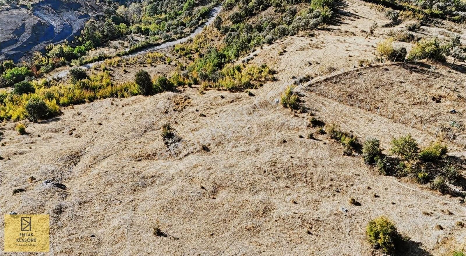Geyve Eşme'de Panoramik Manzaralı 24 Dönüm Tarla - Görsel 7