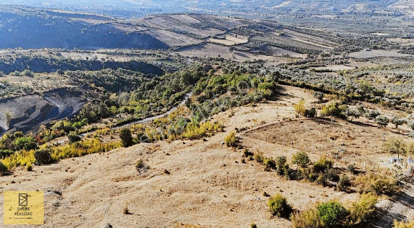 Geyve Eşme'de Panoramik Manzaralı 24 Dönüm Tarla - Görsel 5
