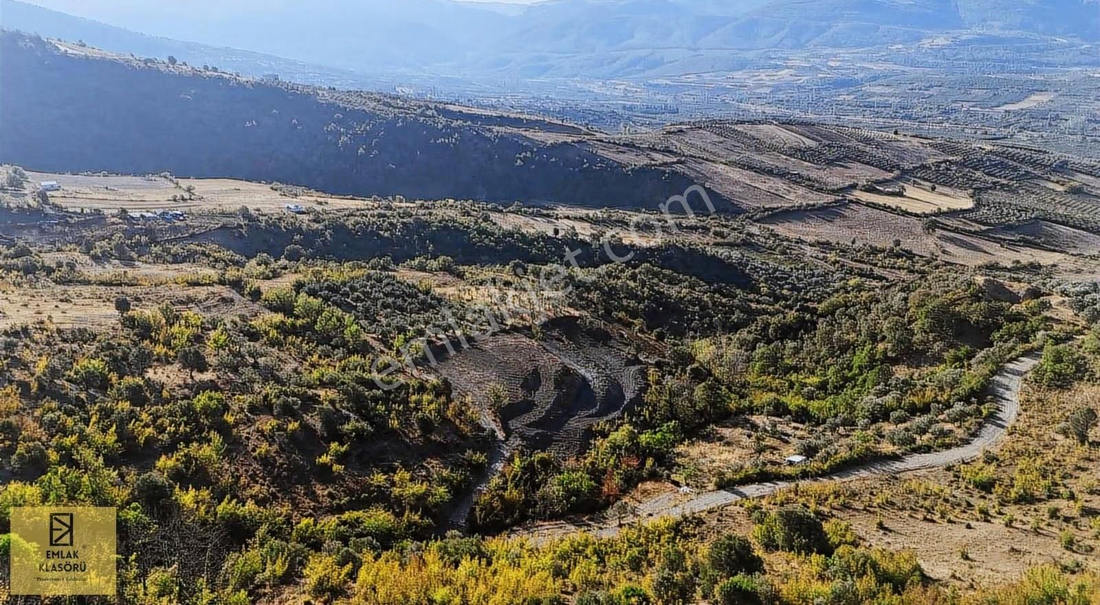 Geyve Eşme'de Panoramik Manzaralı 24 Dönüm Tarla - Görsel 13