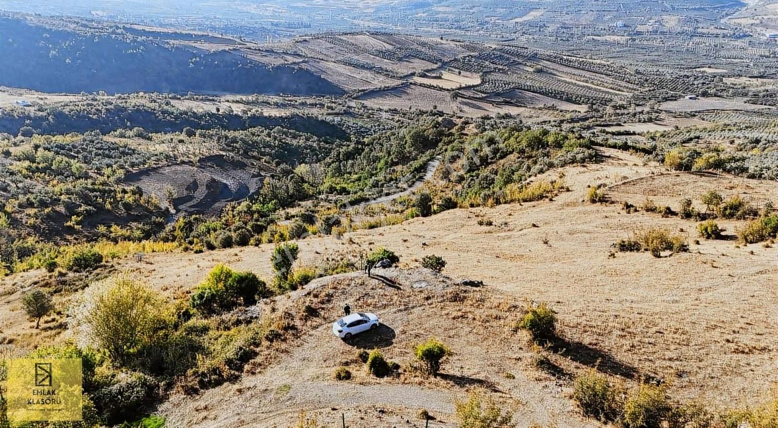 Geyve Eşme'de Panoramik Manzaralı 24 Dönüm Tarla - Görsel 16