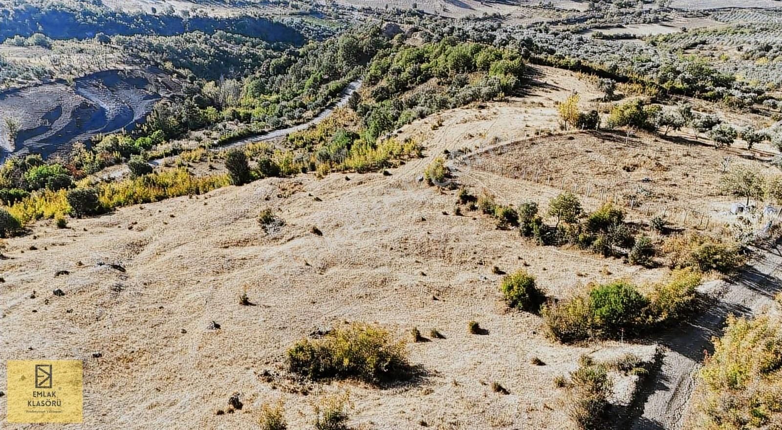 Geyve Eşme'de Panoramik Manzaralı 24 Dönüm Tarla - Görsel 2