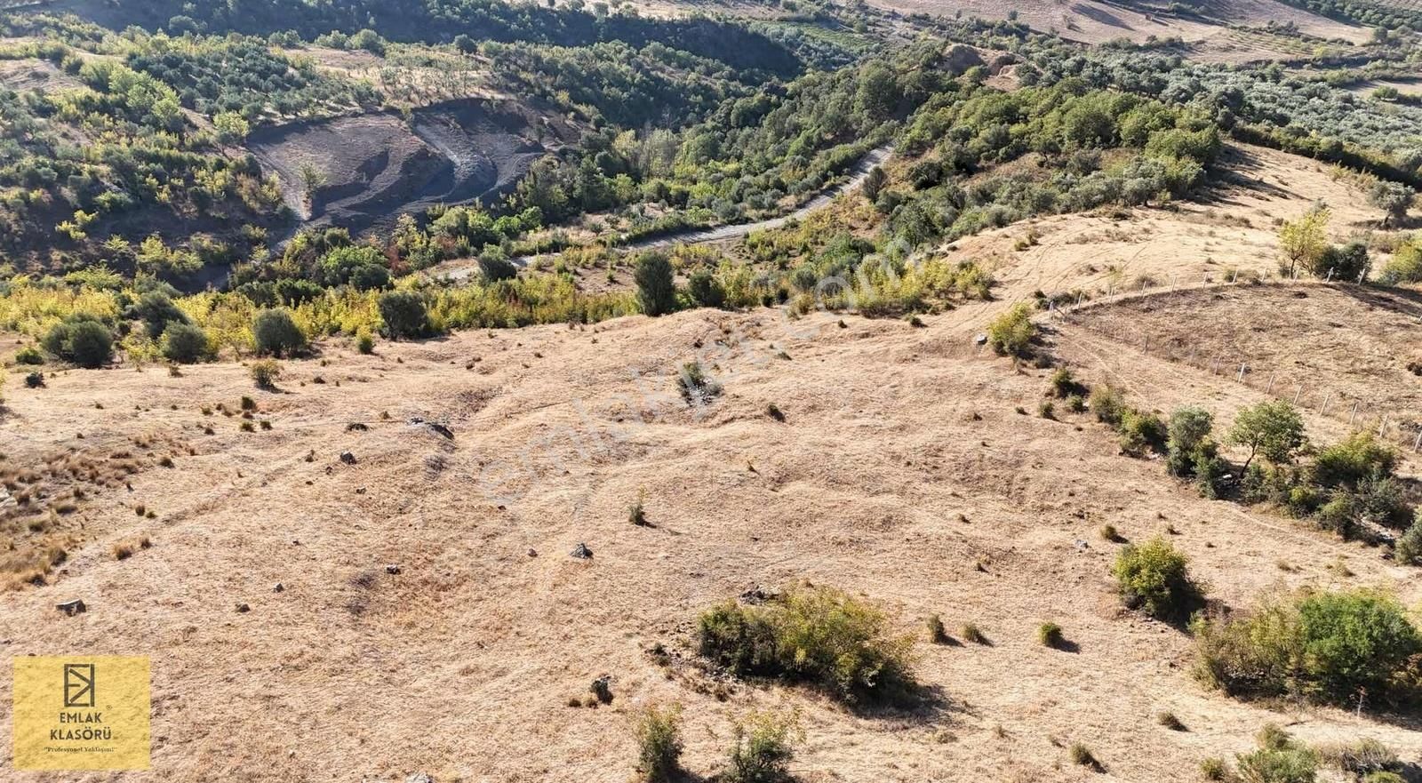 Geyve Eşme'de Panoramik Manzaralı 24 Dönüm Tarla - Görsel 6
