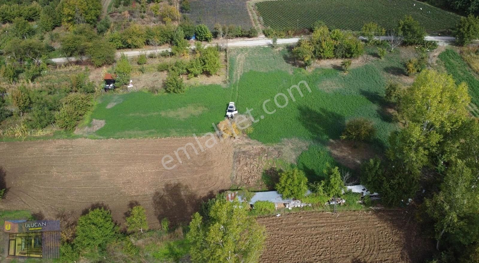 Ulucan'dan İnegöl Kınık'da Satılık Hobi Bahçesi - Görsel 9
