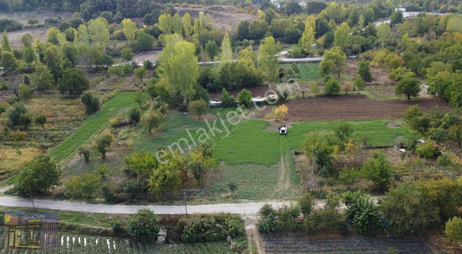 Ulucan'dan İnegöl Kınık'da Satılık Hobi Bahçesi - Görsel 11