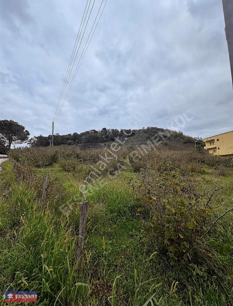 Kiralık Fındık Bah.fatsa Aşağıtepe Köyü Depo Yapımına Uygun - Görsel 9