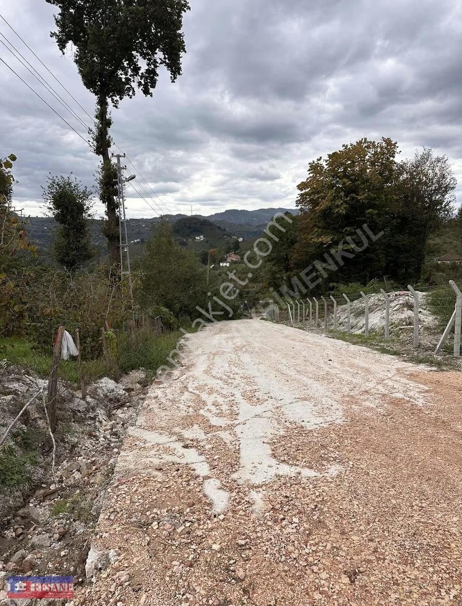 Kiralık Fındık Bah.fatsa Aşağıtepe Köyü Depo Yapımına Uygun - Görsel 5