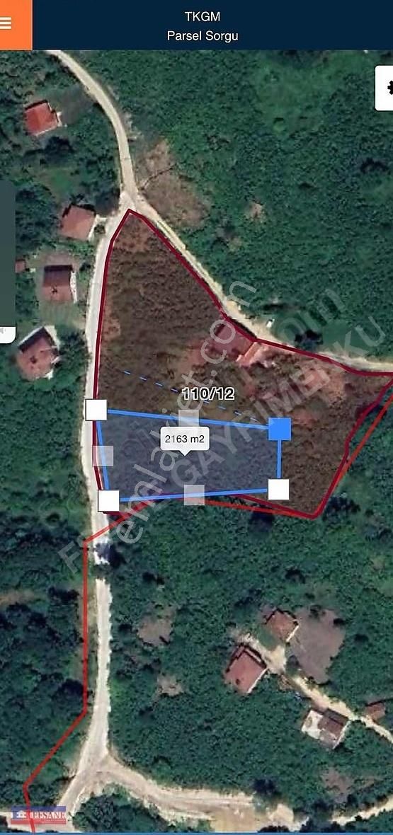 Kiralık Fındık Bah.fatsa Aşağıtepe Köyü Depo Yapımına Uygun - Görsel 10