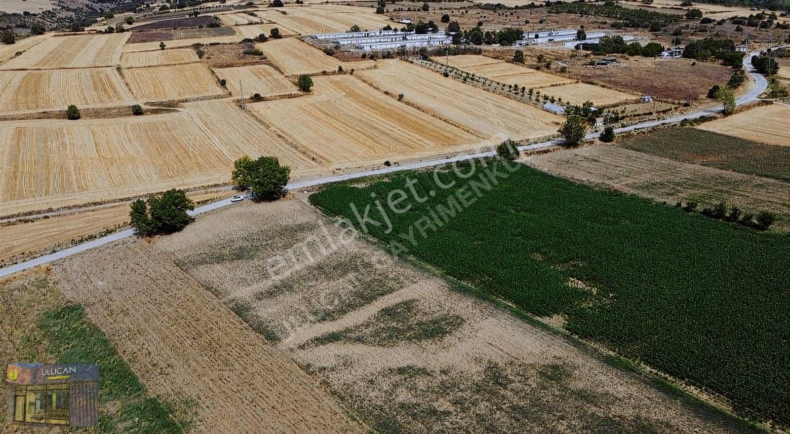Ulucan'dan İnegöl Kulaca'da Satılık Asfalta Cephe Tarla - Görsel 9