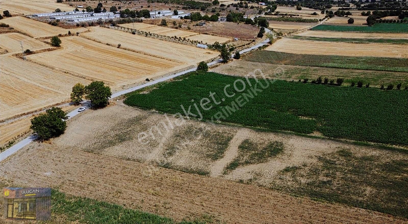 Ulucan'dan İnegöl Kulaca'da Satılık Asfalta Cephe Tarla - Görsel 7