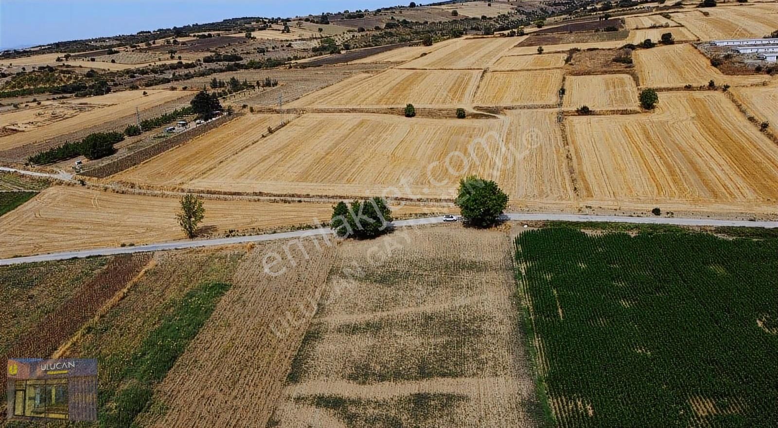 Ulucan'dan İnegöl Kulaca'da Satılık Asfalta Cephe Tarla - Görsel 13