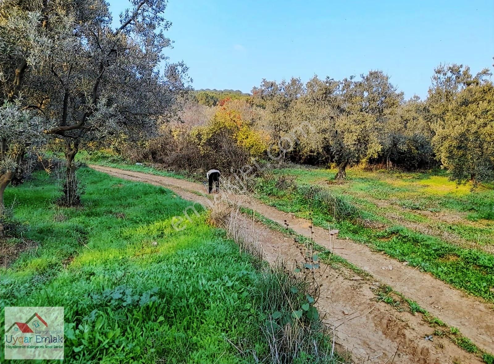 Orhangazi Üreılde Çift Yola Cepe 1700 M2 Arsa Suyu Var - Görsel 13