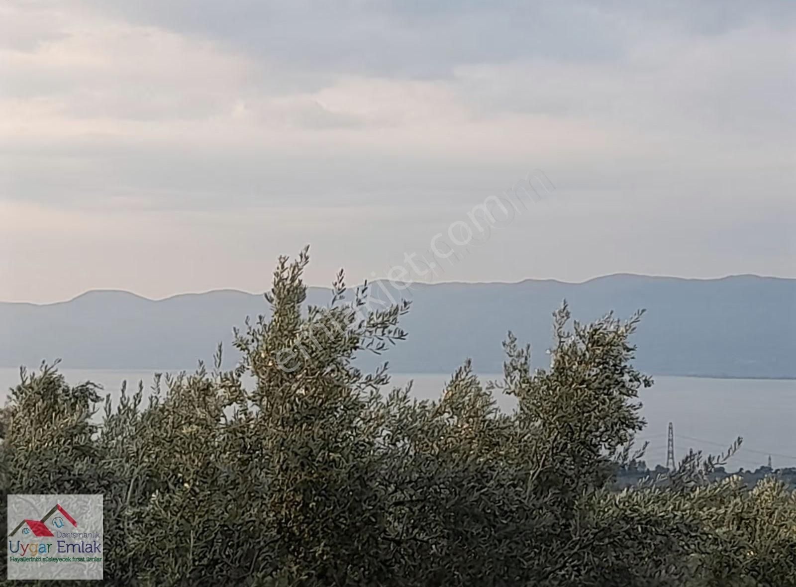 Orhangazi Üreılde Çift Yola Cepe 1700 M2 Arsa Suyu Var - Görsel 6