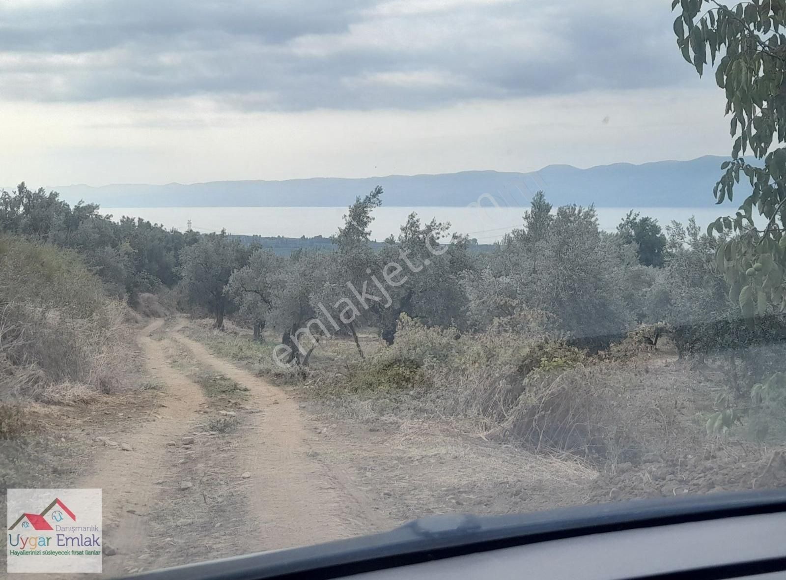 Orhangazi Üreılde Çift Yola Cepe 1700 M2 Arsa Suyu Var - Görsel 12