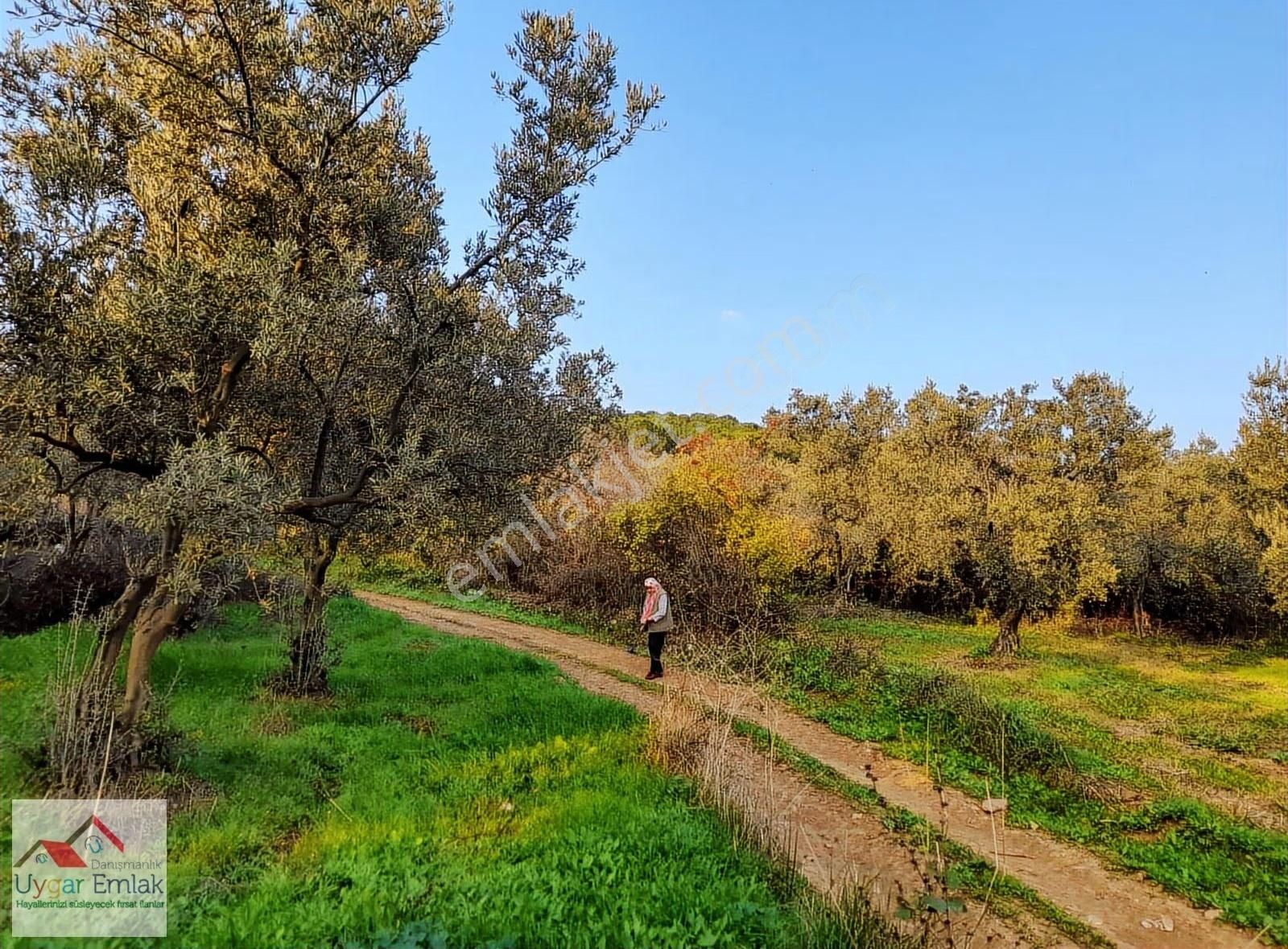 Orhangazi Üreılde Çift Yola Cepe 1700 M2 Arsa Suyu Var - Görsel 14