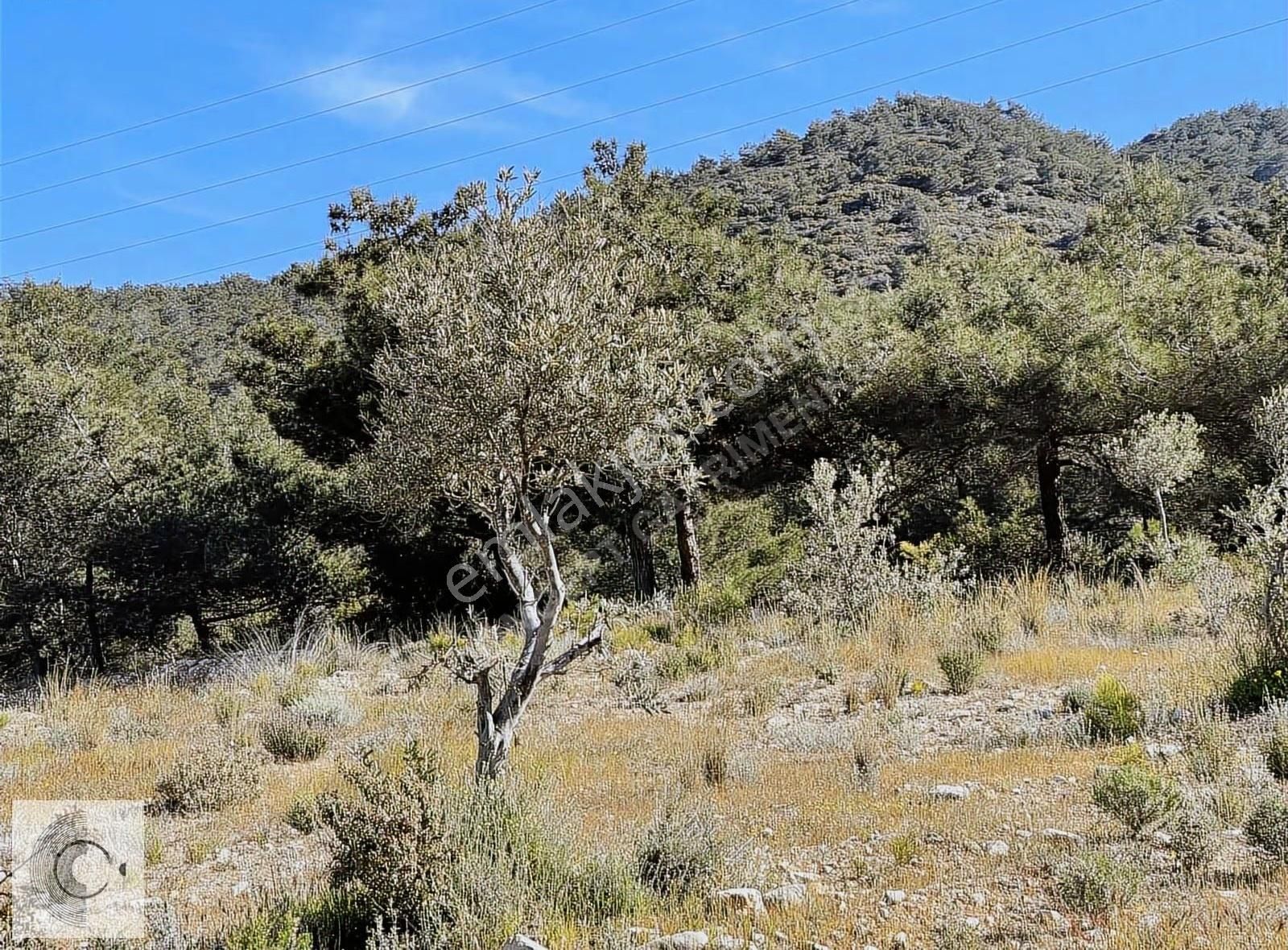 Bodrum Gündoğan'da İmarlı Satılık Arsa - Görsel 3