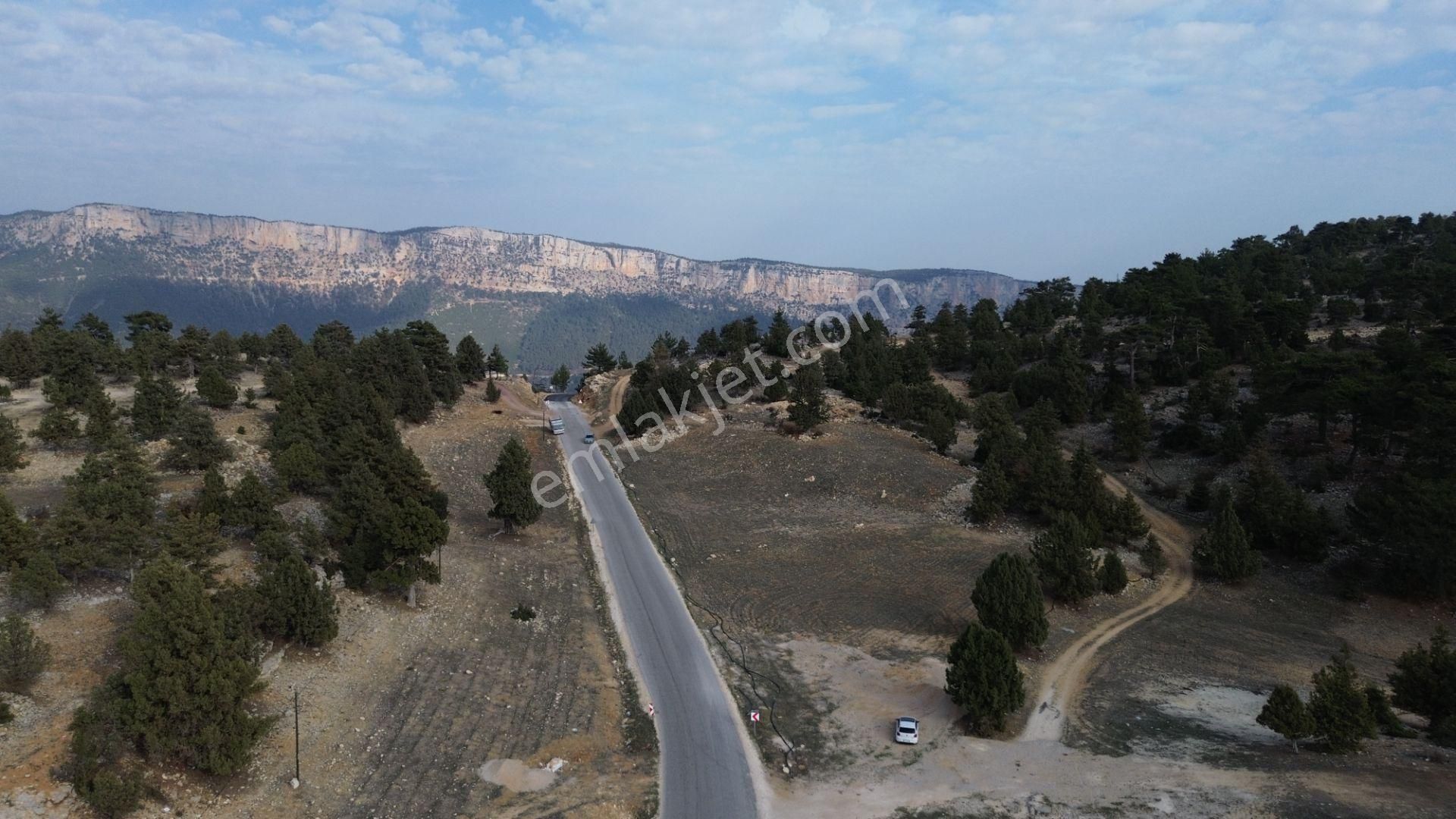 Avgadıya 3 Dk Uzaklıkta Harika Manzaraya Sahip 1.700 M2 Satılık Tarla - Görsel 3