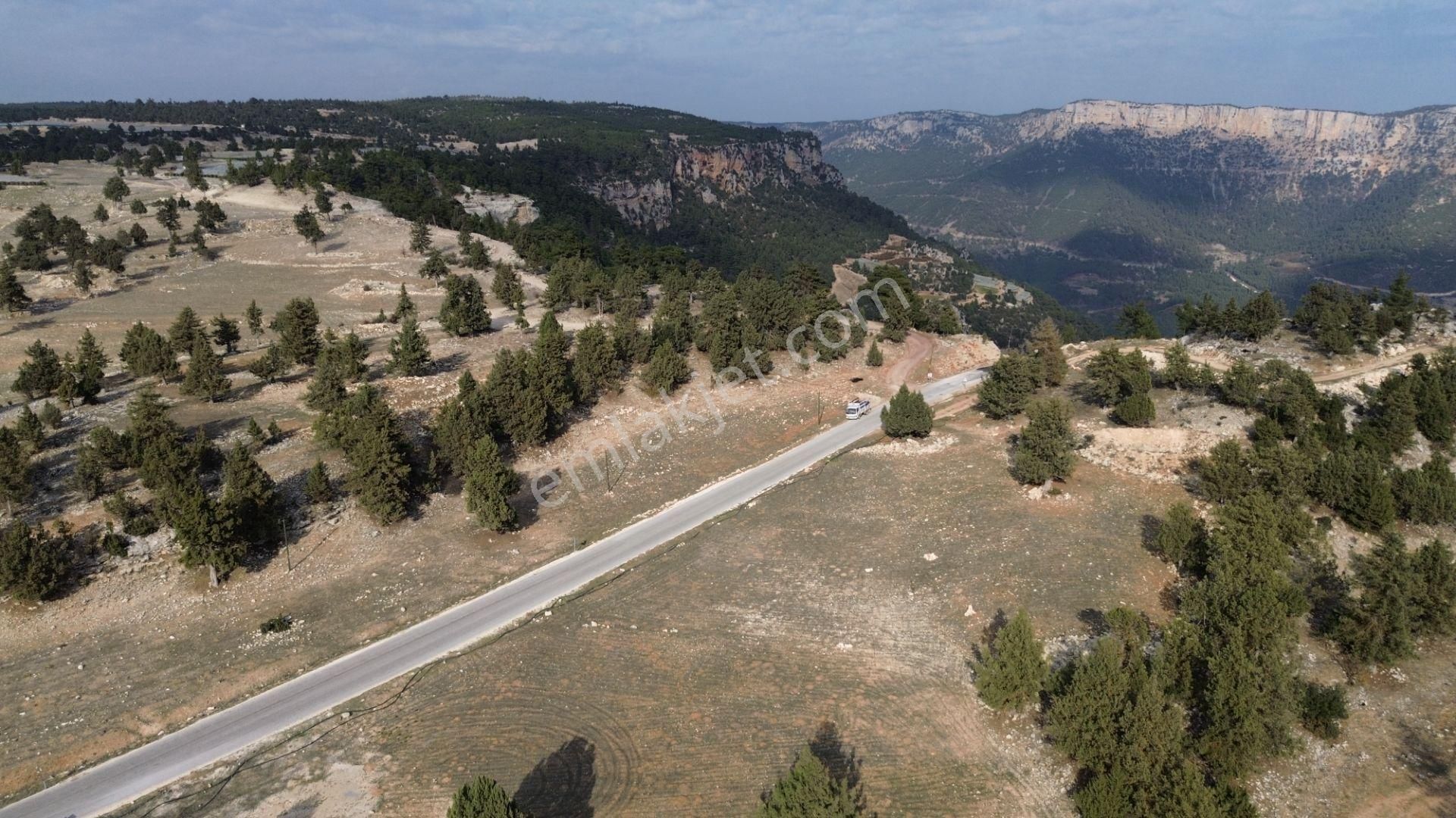 Avgadıya 3 Dk Uzaklıkta Harika Manzaraya Sahip 1.700 M2 Satılık Tarla - Görsel 5