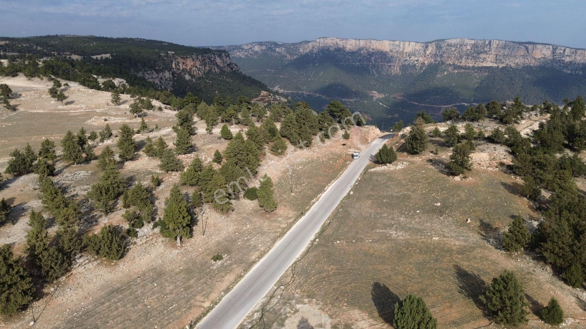 Avgadıya 3 Dk Uzaklıkta Harika Manzaraya Sahip 1.700 M2 Satılık Tarla - Görsel 6