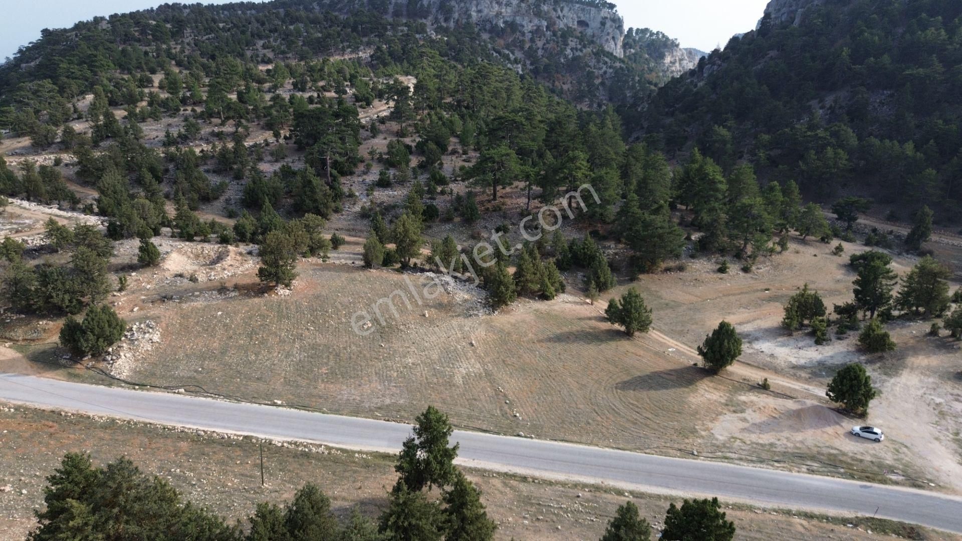 Avgadıya 3 Dk Uzaklıkta Harika Manzaraya Sahip 1.700 M2 Satılık Tarla - Görsel 7