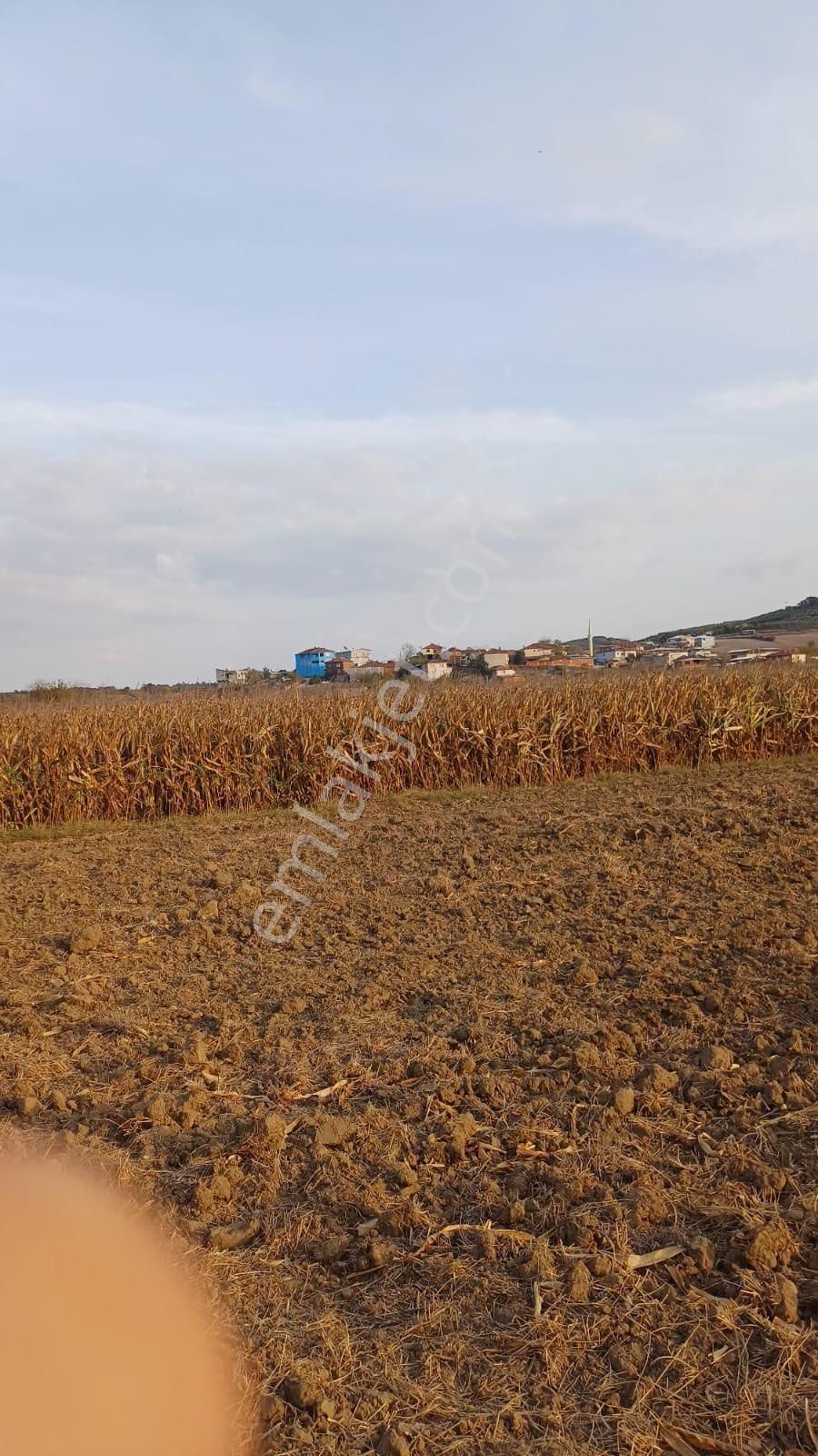 Nilüfer Çaylı Satılık 3250m2 Yolu Yaz Kış Açık Olan Yatırımlık Tarla - Görsel 8