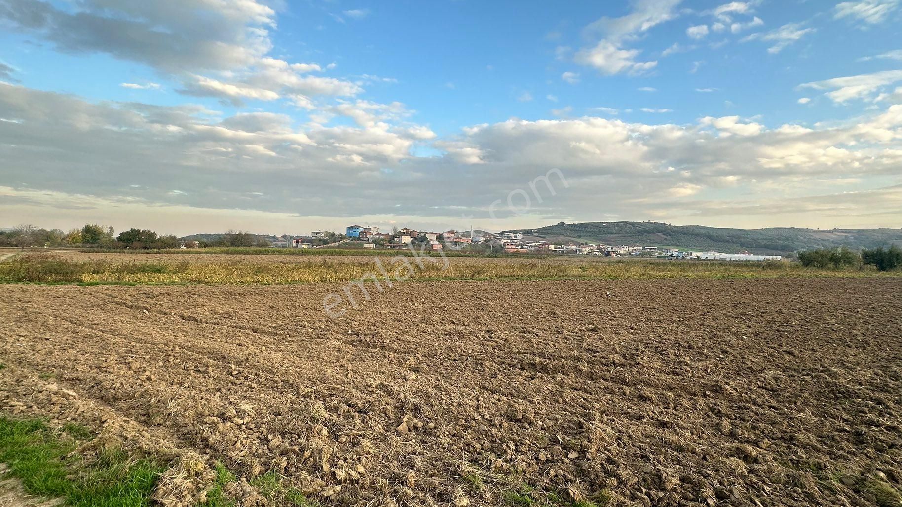 Nilüfer Çaylı Satılık 3250m2 Yolu Yaz Kış Açık Olan Yatırımlık Tarla - Görsel 2