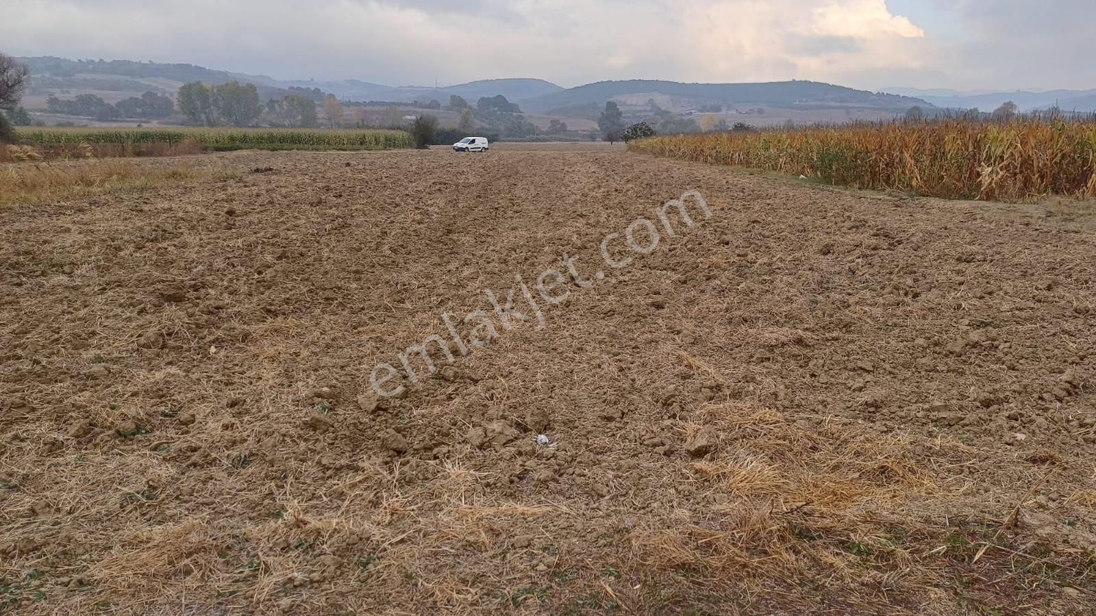 Nilüfer Çaylı Satılık 3250m2 Yolu Yaz Kış Açık Olan Yatırımlık Tarla - Görsel 10