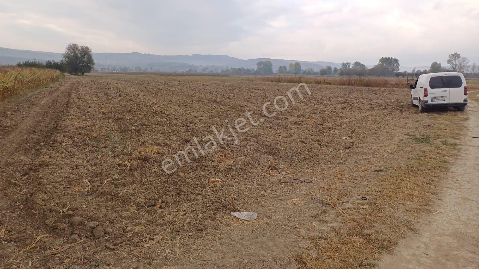 Nilüfer Çaylı Satılık 3250m2 Yolu Yaz Kış Açık Olan Yatırımlık Tarla - Görsel 9