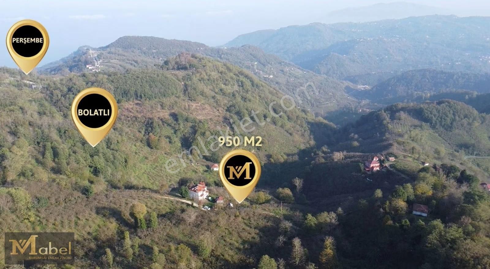 Mabel Gayrimenkul- Perşembe Bolatlı'da Yol Kenarı Fındık Bahçesi - Görsel 4